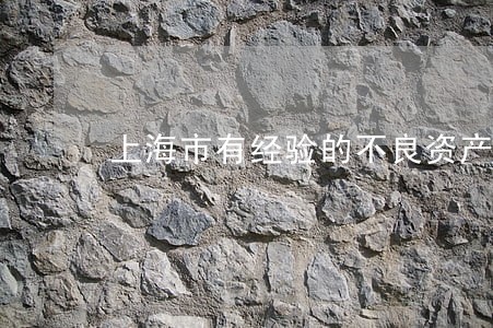 上海市有经验的不良资产处置律师 上海市有经验的不良资产处置律师