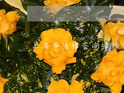 上海市法律咨询律师咨询服务 上海市法律咨询律师咨询服务