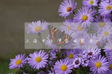 上海市法律咨询服务 上海市法律咨询服务