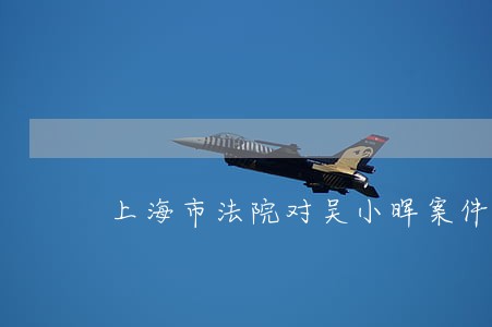 上海市法院对吴小晖案件处理 上海市法院对吴小晖案件处理