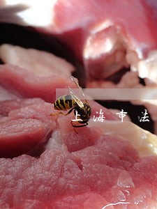 上海市法院房产拍卖公千