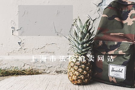 上海市法院拍卖网站 上海市法院拍卖网站