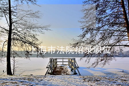 上海市法院招录职位 上海市法院招录职位