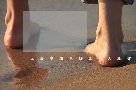 上海市浦东新区李大泓律师 上海市浦东新区李大泓律师