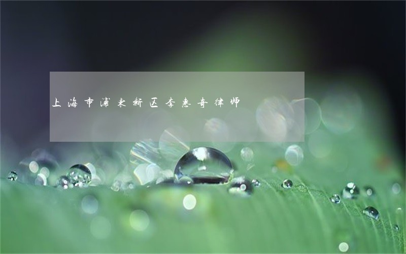 上海市浦东新区李惠奇律师 上海市浦东新区李惠奇律师
