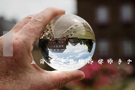 上海市涉外经济律师多少钱 上海市涉外经济律师多少钱