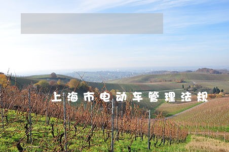 上海市电动车管理法规 上海市电动车管理法规