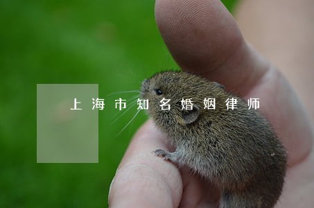 上海市知名婚姻律师 上海市知名婚姻律师