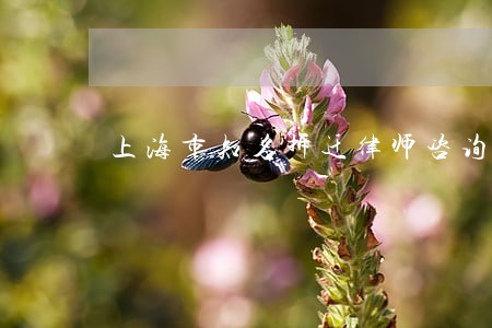 上海市知名拆迁律师咨询 上海市知名拆迁律师咨询