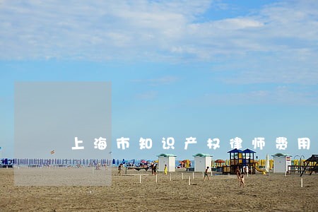 上海市知识产权律师费用情况 上海市知识产权律师费用情况