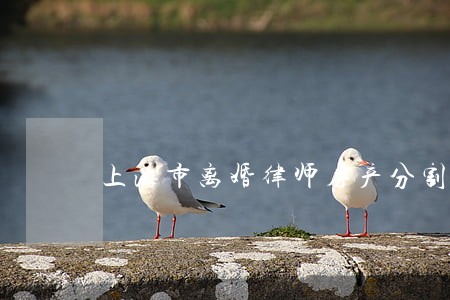 上海市离婚律师房产分割 上海市离婚律师房产分割