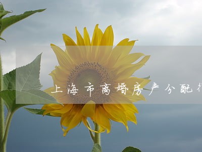上海市离婚房产分配律师