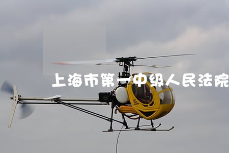 上海市第一中级人民法院直播 上海市第一中级人民法院直播