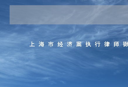 上海市经济案执行律师微信咨询 上海市经济案执行律师微信咨询