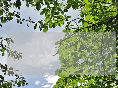 上海市经济案执行律师联系方式 上海市经济案执行律师联系方式