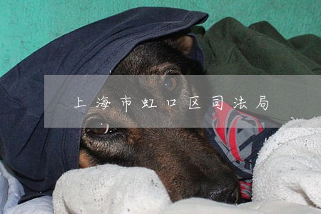 上海市虹口区司法局 上海市虹口区司法局