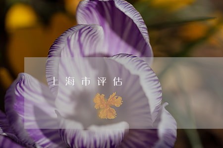 上海市评估 上海市评估