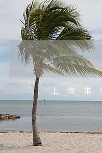 上海市财产规划律师实力强的团队 上海市财产规划律师实力强的团队