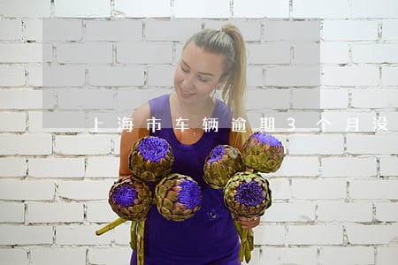 上海市车辆逾期3个月没有年检 上海市车辆逾期3个月没有年检