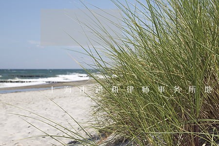上海市通和律师事务所地址 上海市通和律师事务所地址