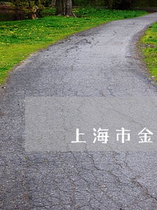 上海市金山哪里有破产清算律师 上海市金山哪里有破产清算律师