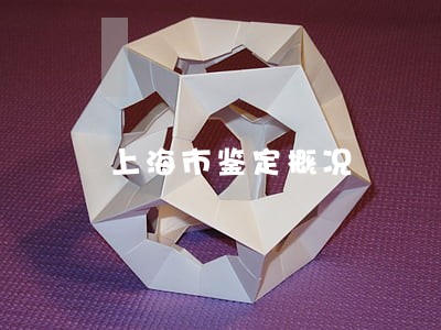 上海市鉴定概况 上海市鉴定概况