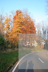 上海市青浦区房产律师