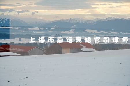 上海市靠谱离婚官司律师费用标准 上海市靠谱离婚官司律师费用标准