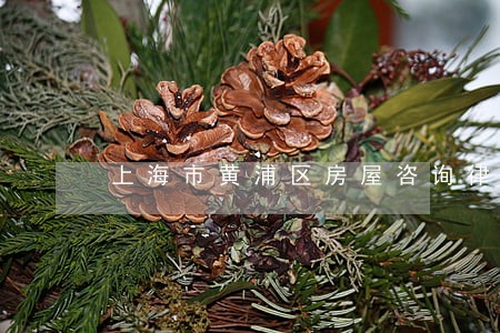 上海市黄浦区房屋咨询律师 上海市黄浦区房屋咨询律师