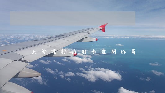 上海建行信用卡逾期协商