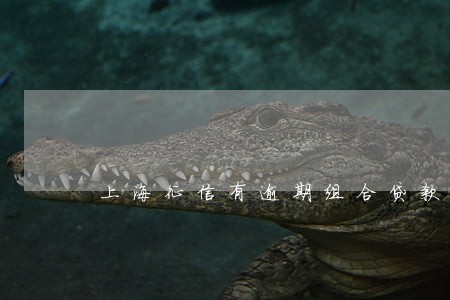 上海征信有逾期组合贷款 上海征信有逾期组合贷款