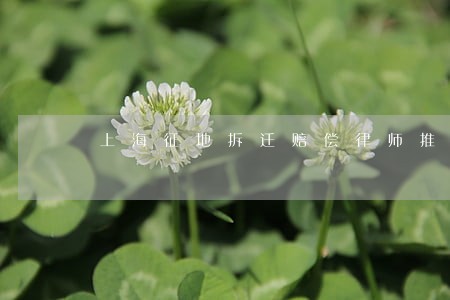 上海征地拆迁赔偿律师推荐 上海征地拆迁赔偿律师推荐