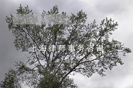 上海律师事务咨询 上海律师事务咨询