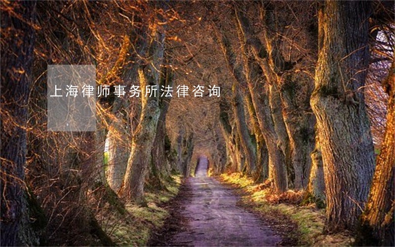 上海律师事务所法律咨询 上海律师事务所法律咨询