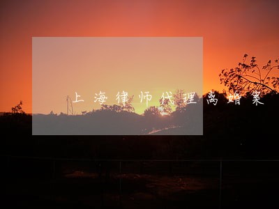 上海律师代理离婚案 上海律师代理离婚案