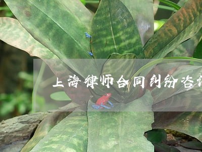 上海律师合同纠纷咨询 上海律师合同纠纷咨询