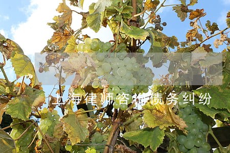 上海律师咨询债务纠纷 上海律师咨询债务纠纷