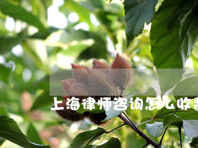 上海律师咨询怎么收费 上海律师咨询怎么收费