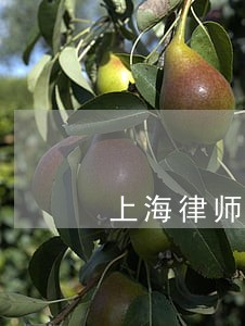 上海律师咨询欠钱不还