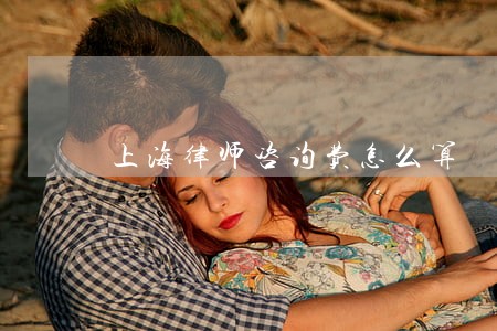 上海律师咨询费怎么算 上海律师咨询费怎么算