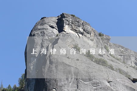 上海律师咨询费标准 上海律师咨询费标准