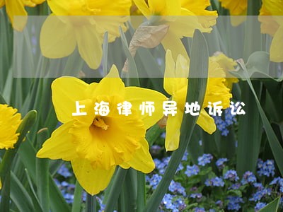 上海律师异地诉讼 上海律师异地诉讼