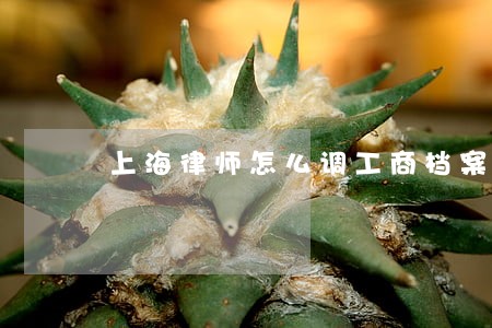 上海律师怎么调工商档案 上海律师怎么调工商档案