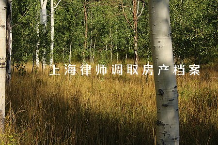上海律师调取房产档案 上海律师调取房产档案