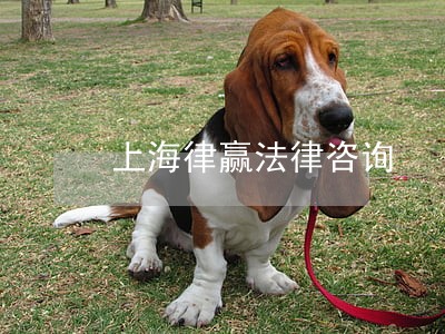 上海律赢法律咨询 上海律赢法律咨询