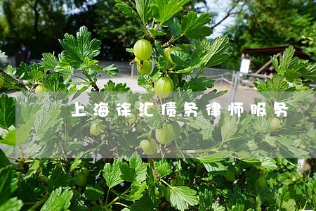 上海徐汇债务律师服务 上海徐汇债务律师服务