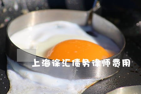 上海徐汇债务律师费用 上海徐汇债务律师费用