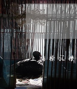 上海徐汇债务执行律师律所 上海徐汇债务执行律师律所