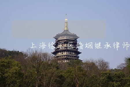 上海徐汇区婚姻继承律师咨询服务 上海徐汇区婚姻继承律师咨询服务