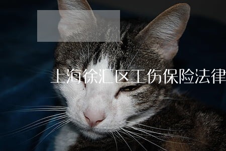上海徐汇区工伤保险法律师地址 上海徐汇区工伤保险法律师地址